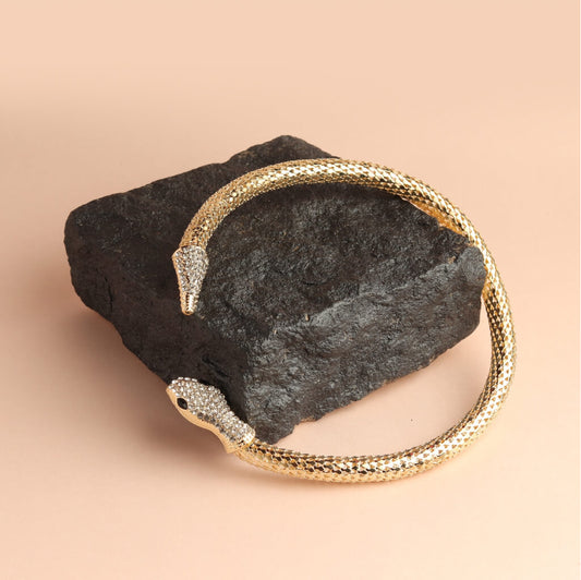 Serpent Head Choker Necklace